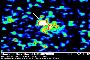 50kb - A distant galaxy's Gamma Ray Burst