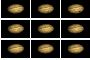 46kb - 9 Images of Shoemaker-Levy Comet fragments hitting Jupiter  (July 16-22, 1994)